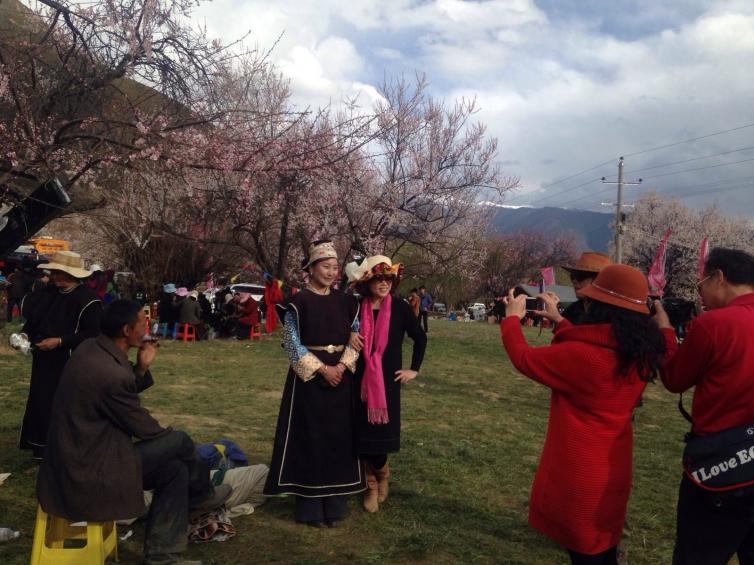 西藏林芝旅游局消息：2018年西藏林芝桃花節(jié)開幕時間，一起去林芝自駕游