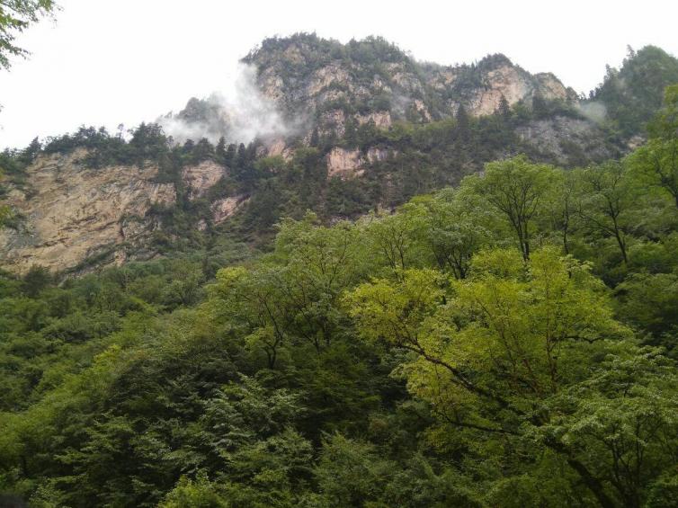 沿著隴南這條高速段走，不知不覺(jué)間收獲甘肅美景！挑個(gè)時(shí)間趕緊自駕出發(fā)吧！