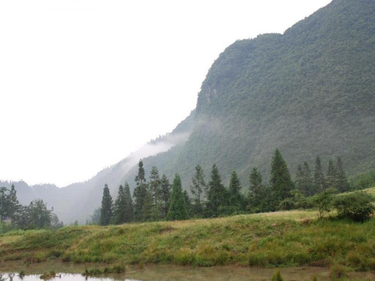 7-8月重慶周邊避暑自駕游去哪里好，6個森林深處的小眾自駕游景點值得一去