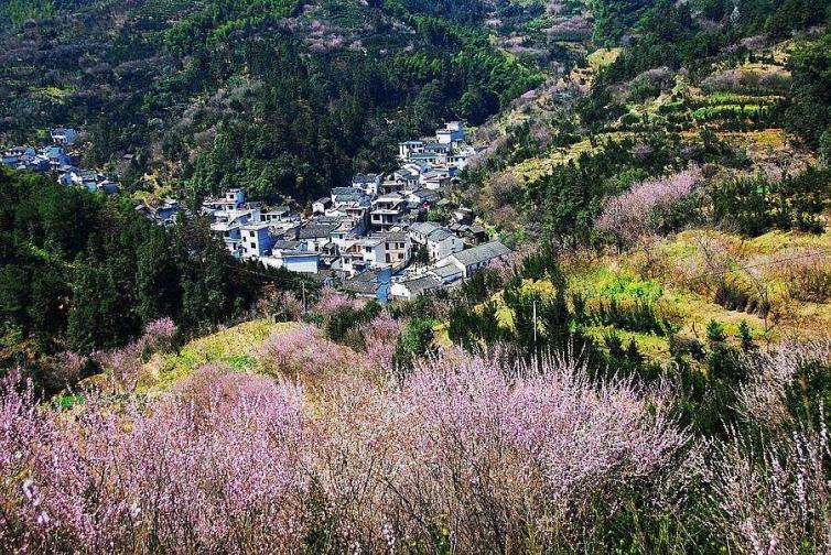 周六黃山自駕游去哪里好玩，黃山出發(fā)自駕1日游好去處攻略推薦