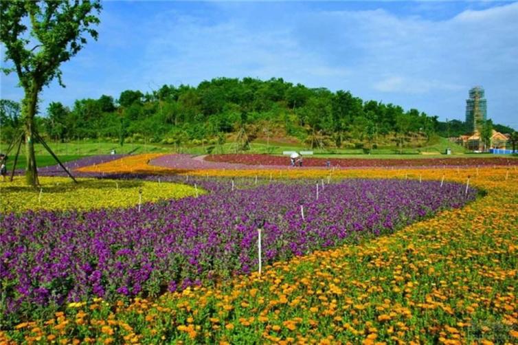 周末四川自貢自駕游去哪兒好玩，四川自貢出發(fā)自駕2日游好去處推薦