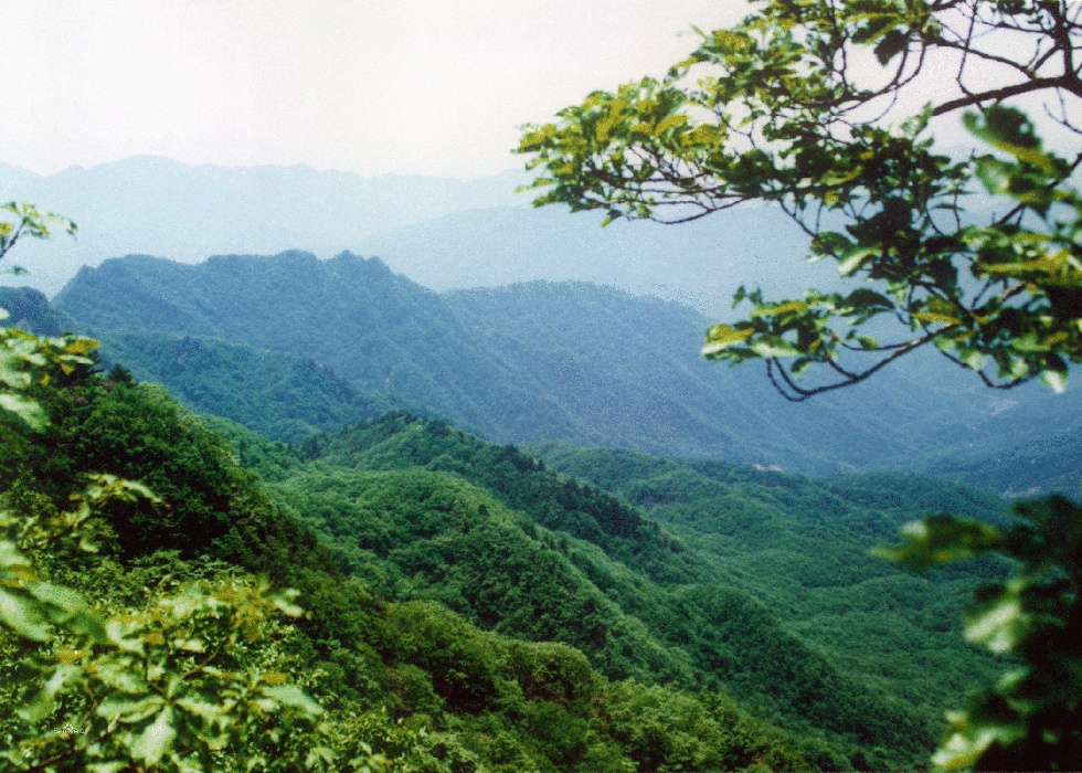 暑假河南自駕游去哪好玩，人少/景美/小眾自駕游路線攻略為您推薦，6條親子自駕游好去處路線