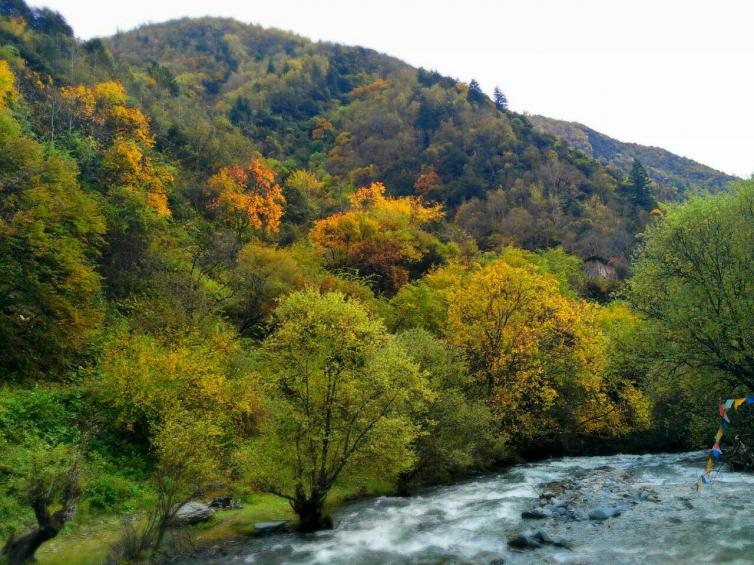 成都出發(fā)到川西最佳線路攻略，春天到川西自駕游線路安排