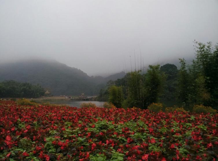 廣東秋季自駕游去哪好?廣東最美秋景好去處線路推薦