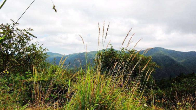 9個(gè)西安周邊隱匿于世俗的自駕游勝地推薦，西安周邊人少\景美自駕游好去處推薦