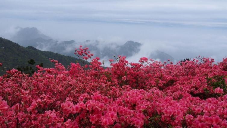 四月份自駕游顏值最高的景點推薦，四月國內這些好去處不能錯過