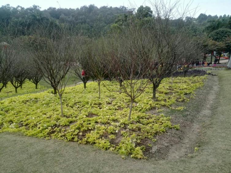 暑假湖北鄂州周邊自駕游去哪里好玩，10個(gè)鄂州周邊人少\景美自駕游好去處經(jīng)典推薦