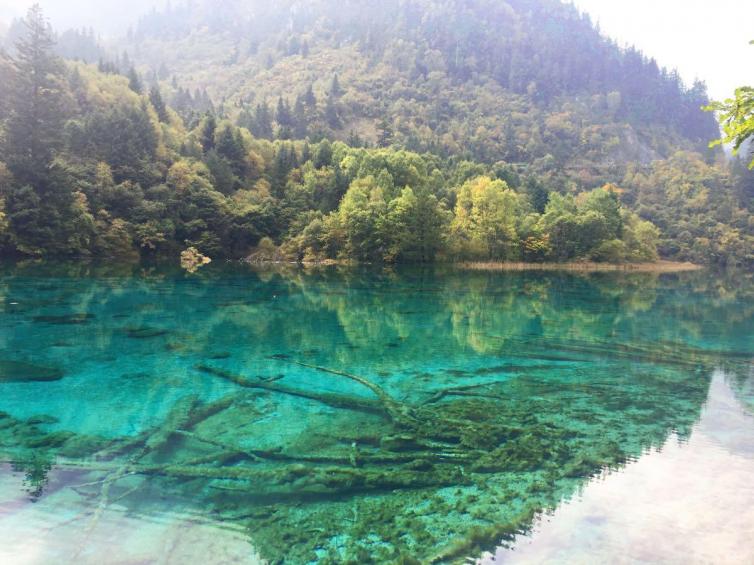 秋天重慶周邊自駕游賞景勝地推薦，不會讓你失望的自駕游美景