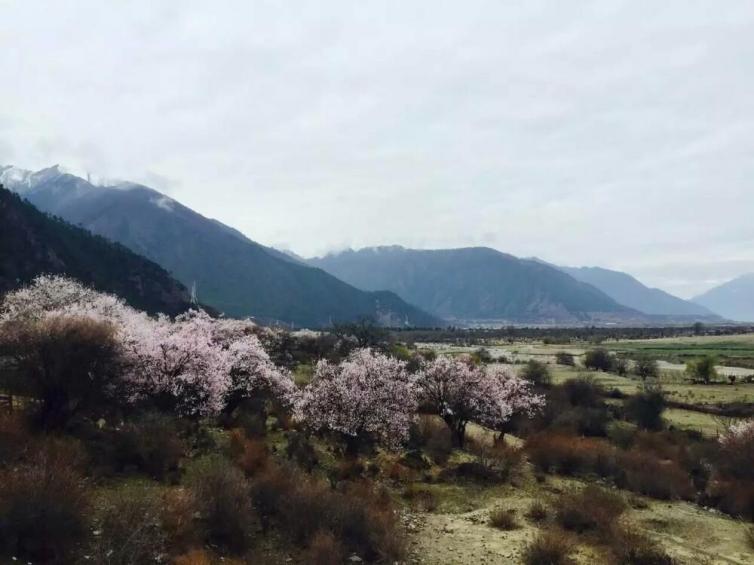 5月國內(nèi)最適合自駕游目的地推薦，陽光溫熱夏至未至