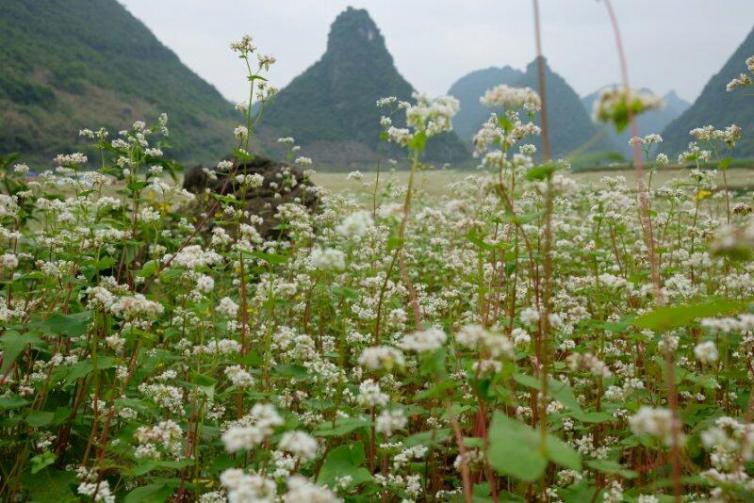 12月廣西自駕游值得一去的景點(diǎn)線路推薦，冬天的廣西也有不一樣的色彩