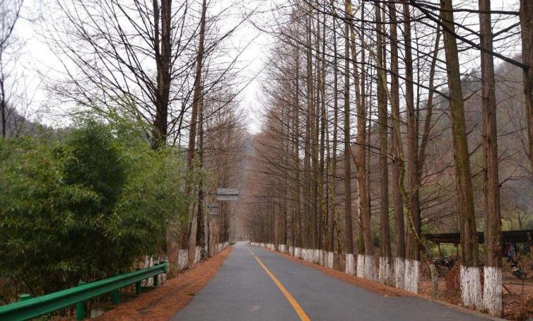 周末國內自駕游去哪里?6條高顏值公路推薦