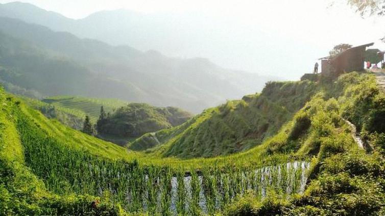 鳳凰出發(fā)至桂林龍脊梯田自駕游游玩攻略，住山頂看日出感受自然之美