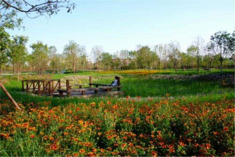 天津短途自駕游哪些好去處推薦；8個天津自駕游公園線路推薦