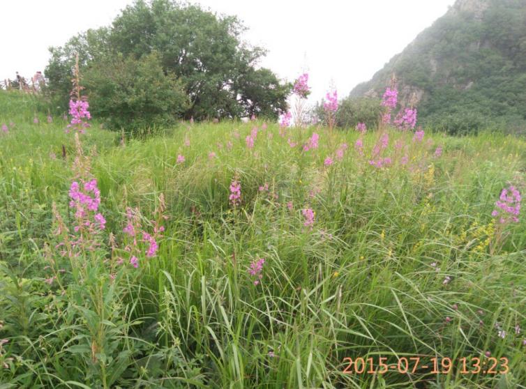 五一去河北野三坡自駕游3個必玩景點推薦，野山坡自駕游有哪些好玩的