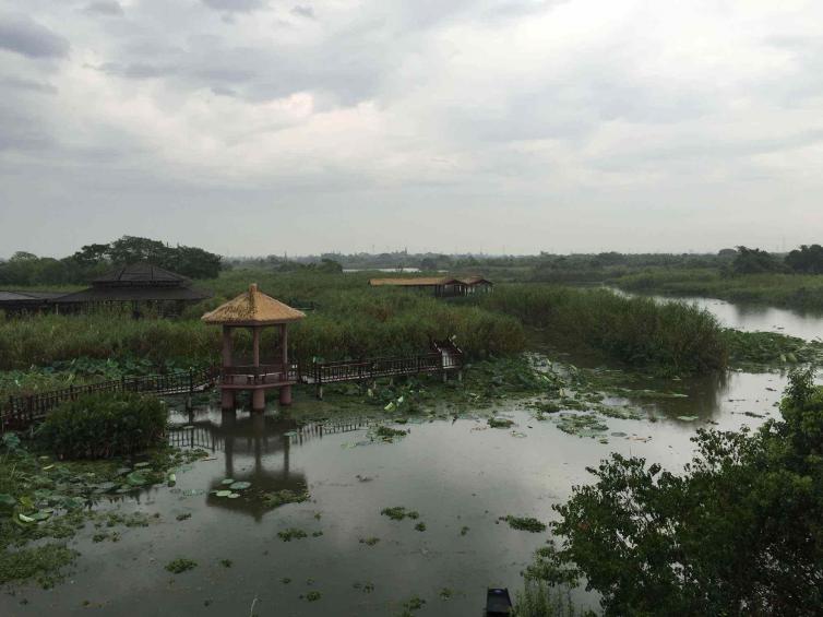 上海周邊自駕游好去處推薦，浙江六大隱秘上海周邊自駕游目的地推薦