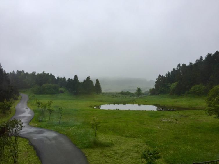 元旦節(jié)重慶周邊1-3日自駕游去哪里好玩，5條高速沿線最美自駕游景點路線攻略