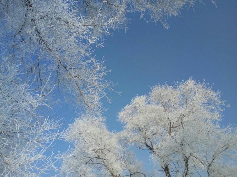 冬天國內(nèi)自駕游賞雪去哪里好玩，7個(gè)最美自然雪景助你開啟夢幻賞雪之旅