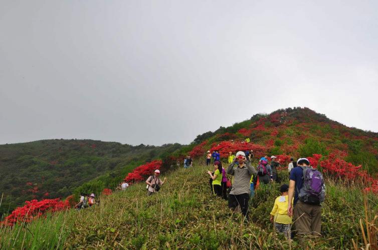 14個(gè)深圳周邊親子自駕游露營(yíng)好去處推薦，深圳親子自駕游去哪里好？