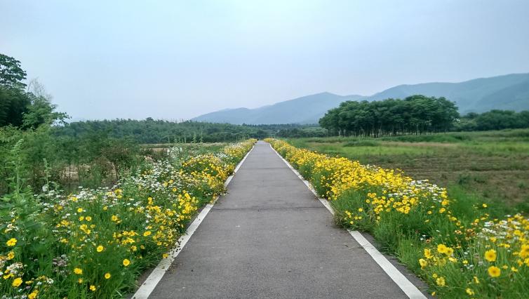 五一南京周邊自駕游好去處，南京出發(fā)周邊自駕游路線推薦