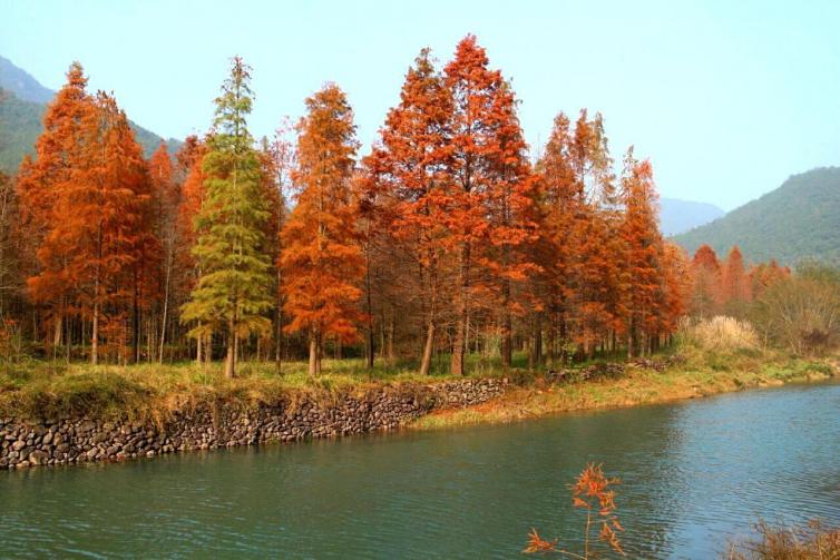 秋天江浙滬必去自駕游景點(diǎn)推薦，秋天最美的風(fēng)景都在這里