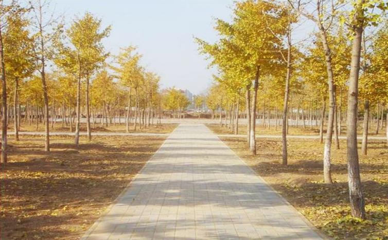 周末北京自駕游京郊公園好去處，8處北京郊野公園自駕游路線推薦