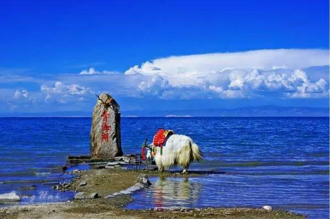 環(huán)青海湖自駕游好去處推薦，這6個景點一個都不能錯過