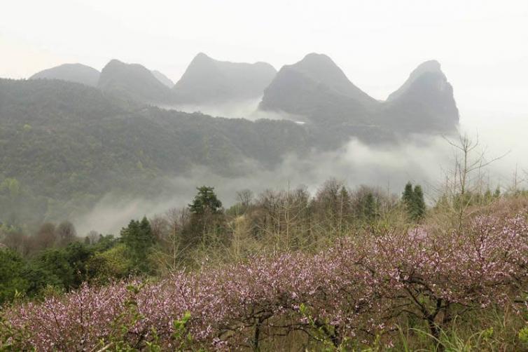 陽春三月廣西靈川自駕游去哪里好玩，靈川出發(fā)3日自駕游好去處景點推薦