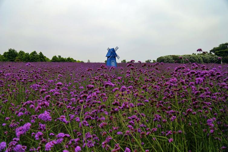 五一蘇州周邊自駕游好去處，4個蘇州周邊冷門自駕游路線景點推薦