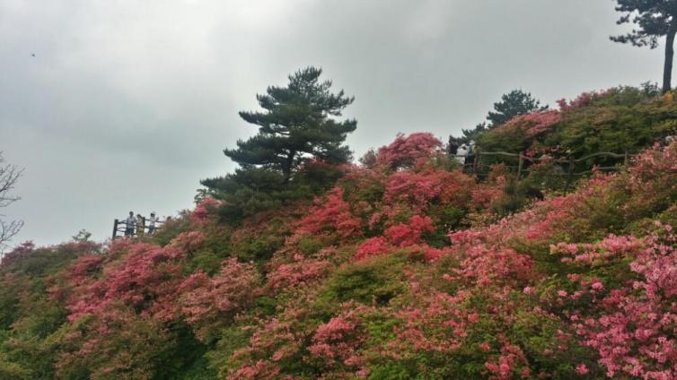 四月份自駕游顏值最高的景點推薦，四月國內(nèi)這些好去處不能錯過