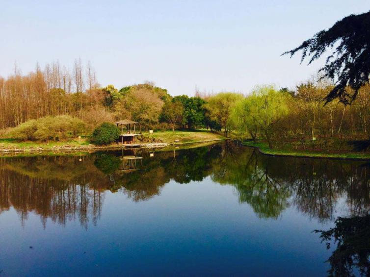 清明節(jié)上海周邊自駕游好去處推薦，8個上海周邊熱門公園燒烤攻略已備好，請查收！