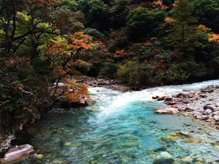 金秋四川省內(nèi)自駕游去哪里好玩，8個(gè)必去最美賞秋自駕游景點(diǎn)路線攻略推薦