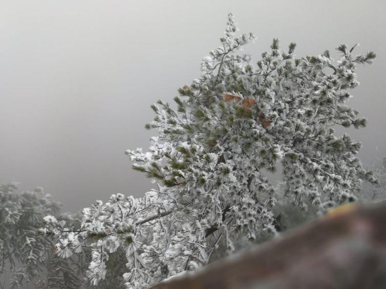 冬天長沙周邊最佳看雪好地方推薦，不必在向往北方的冬天