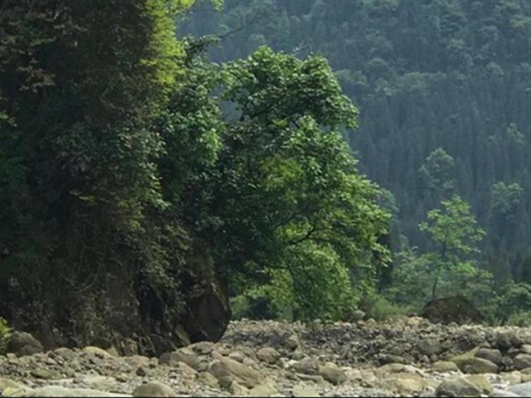 九峰山自駕游有哪些值得一去的景點？九峰山自駕游這5處美景不容錯過！