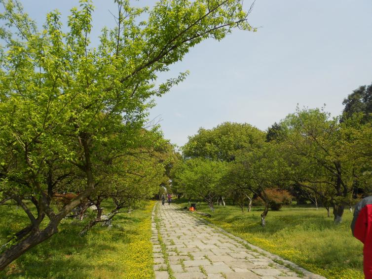 清明節(jié)上海周邊自駕游好去處推薦，8個上海周邊熱門公園燒烤攻略已備好，請查收！