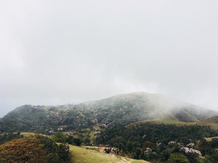 春天廣東親子自駕游景點(diǎn)路線推薦，春天廣東周邊最美景點(diǎn)攻略