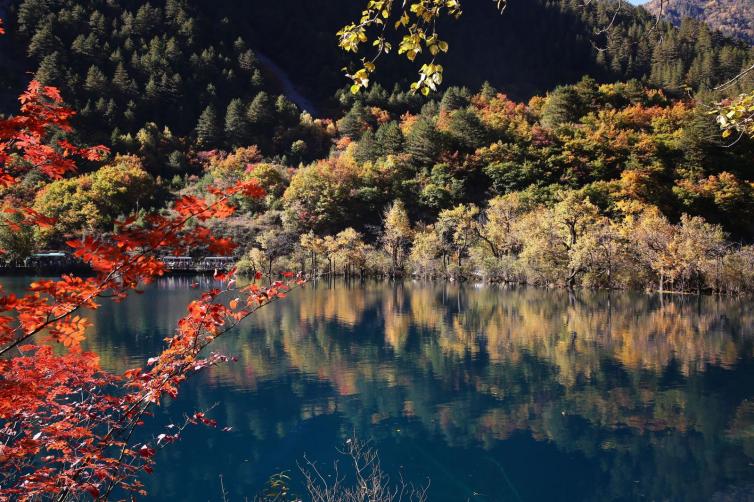 四川自駕游去哪好玩，為您推薦周末四川自駕游經(jīng)典一日游自駕游路線攻略