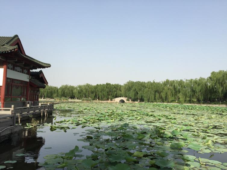 濟(jì)南自駕游好去處推薦，周末帶孩子去的好去處推薦，濟(jì)南周末自駕游去哪好玩