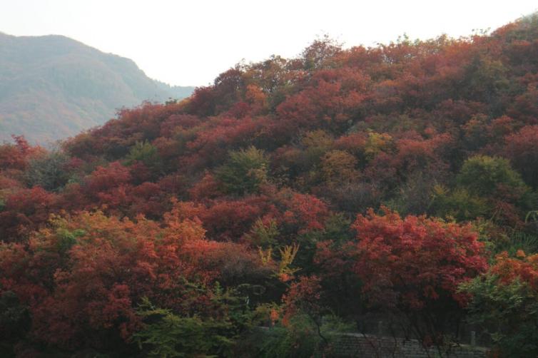 國慶節(jié)重慶周邊自駕游去哪里好玩，9個重慶絕美自駕游好去處攻略推薦