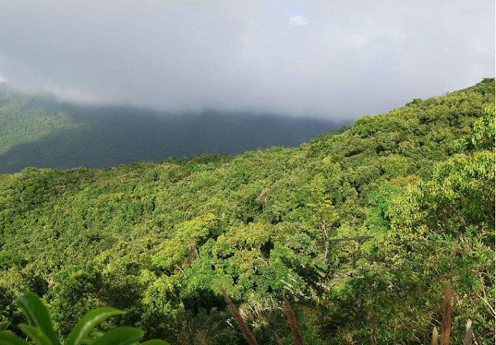 12月國內(nèi)超美自駕游目的地推薦，去往中國最美的8個原始森林