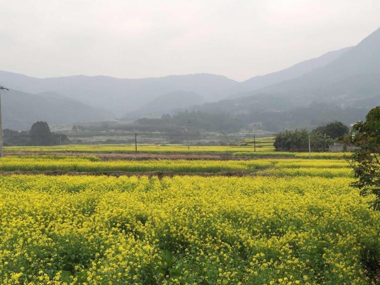 三月福建自駕游經(jīng)典好去處推薦，福建周邊千萬別錯(cuò)過的景點(diǎn)