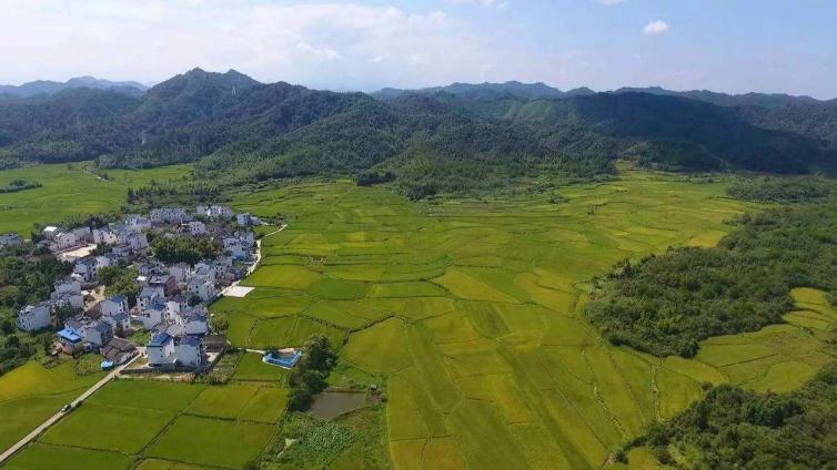 東陽(yáng)周邊1日自駕游好去處推薦，美美噠東陽(yáng)自駕游目的地推薦