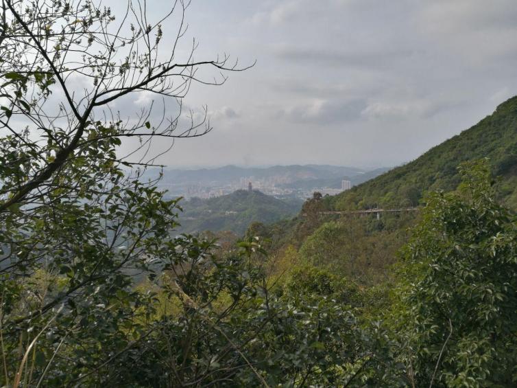 東莞自駕游一定要去的景點推薦，東莞周邊自駕游去這些地方不虛此行