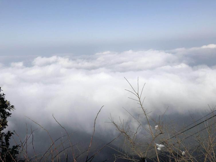 7-8月重慶周邊避暑自駕游去哪里好，6個森林深處的小眾自駕游景點值得一去