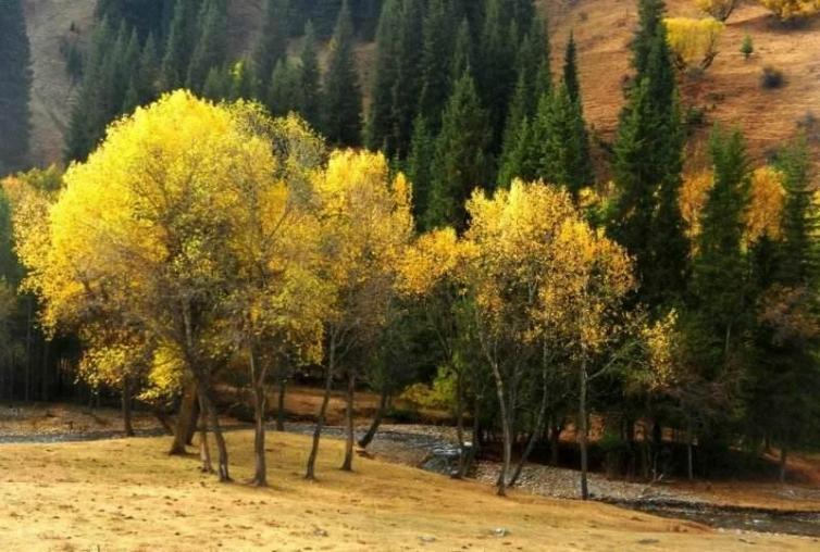 秋天中國自駕游7個最原生態(tài)的村落景點推薦，國內(nèi)那些養(yǎng)在深閨人未識的好去處