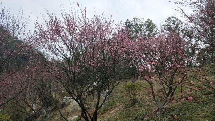 春天湖南自駕游顏值最高的景點(diǎn)推薦，10個(gè)湖南踏青自駕游勝地