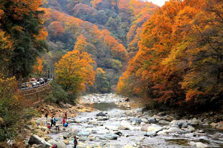 光霧山紅葉自駕游各景區(qū)介紹/游玩攻略，光霧山紅葉自駕游線路推薦(超詳細版)