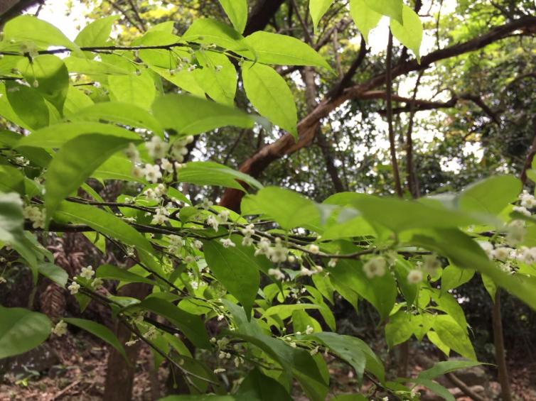 湖北黃石周末自駕游2-3天好去處推薦，9個黃石周邊自駕游必去景點