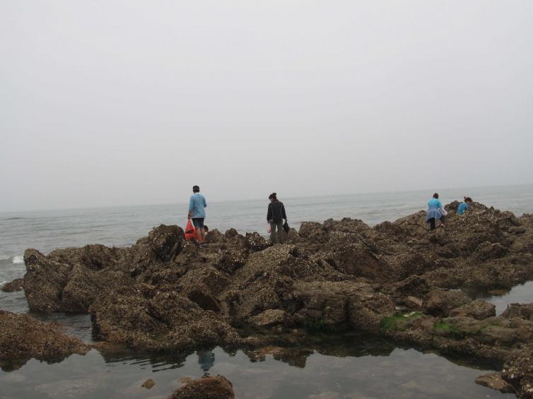 青島周邊1-2日自駕游去哪里好玩，2個最具特色/小眾島嶼自駕游攻略收藏