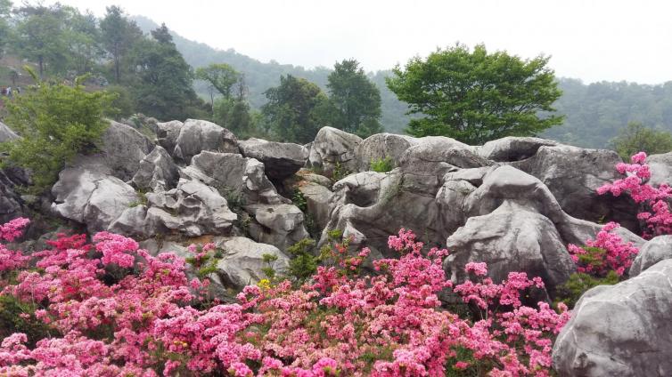 6個四川最美自駕游好去處推薦，1月四川出發(fā)自駕游路線推薦