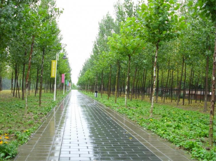 周末北京自駕游京郊公園好去處，8處北京郊野公園自駕游路線推薦